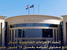 الداخلية المصرية