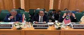 وزير الخارجية المصري