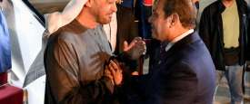 الرئيس السيسي والشيخ محمد بن زايد
