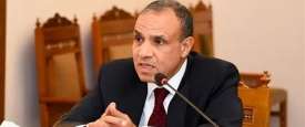 بدر عبدالعاطي