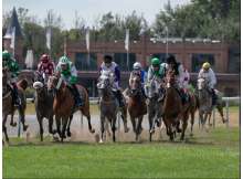 UAE President’s Cup