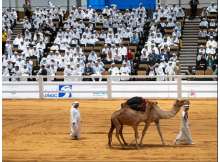 Abu Dhabi International Hunting and Equestrian Exhibition