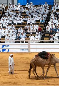 Abu Dhabi International Hunting and Equestrian Exhibition