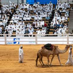Abu Dhabi International Hunting and Equestrian Exhibition