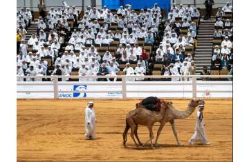 Abu Dhabi International Hunting and Equestrian Exhibition