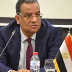 عضو مجلس الشيوخ المصري محمود مسلم