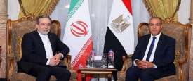 وزيرا الخارجية المصري والإيراني