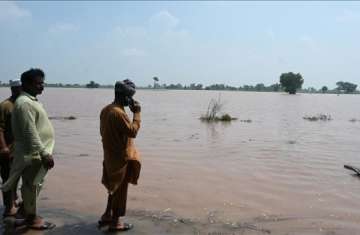 Pakistan wildlife reels under deadly floods