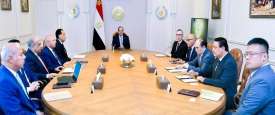 لقاء السيسي والشركات النرويجية والصينية