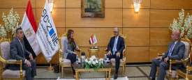 وليد جمال الدين وهيرو مصطفى