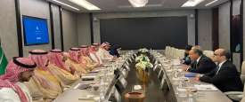 لقاء وزير الخارجية المصري ووزير الصناعة السعودي