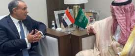 وزير التجارة السعودي ووزير الخارجية المصري