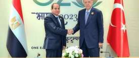 أردوغان والسيسي