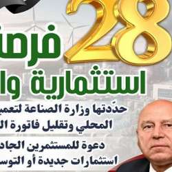 الصناعة المصرية
