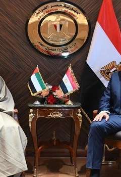 وزير قطاع الأعمال المصري والسفير الإماراتي