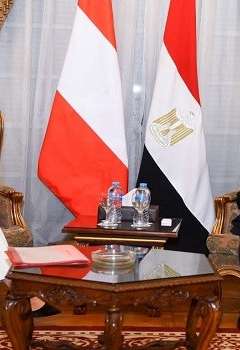 وزيرا الخارجية المصري والنمساوي