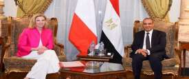 وزيرا الخارجية المصري والنمساوي