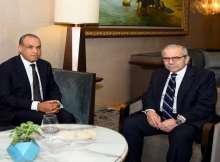 رئيس وزراء لبنان ووزير خارجية مصر