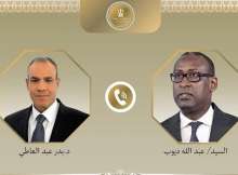 وزيرا خارجية مالي ومصر