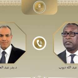 وزيرا خارجية مالي ومصر