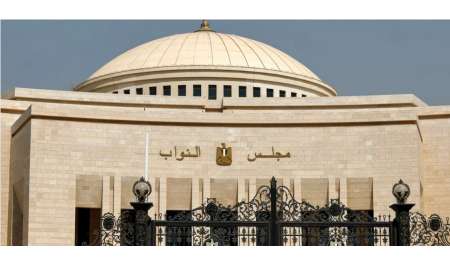 عروسين في اللجنة.. مواقف طريفة من انتخابات مجلس النواب المصري 2025 