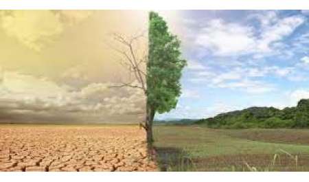 خبيرة مناخ تكشف دلالة تصريح الصحة العالمية 