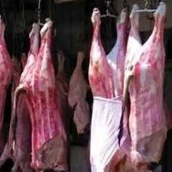 اللحوم الحمراء
