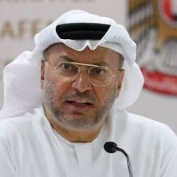 الدكتور أنور بن محمد قرقاش