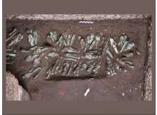 Egyptologists find 225 'exceptional' figurines 