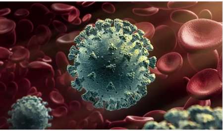 لا فيروس جديد.. ما هي أكثر الفيروسات انتشارا في هذا الوقت من العام؟