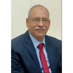 أ.د. عادل القليعي