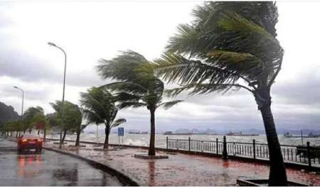 الأرصاد تحذر من تقلبات جوية حادة حتى الخميس.. أمطار ورعد ورياح وانخفاض في الحرارة