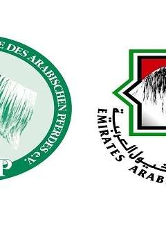 جمعية الأمارات للخيول العربية