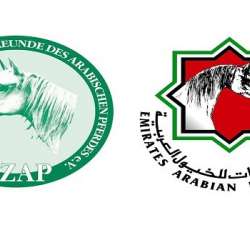 جمعية الأمارات للخيول العربية