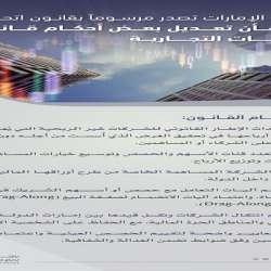 حكومة الامارات