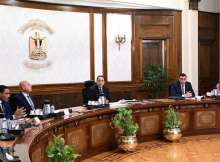 مجلس الوزراء المصري