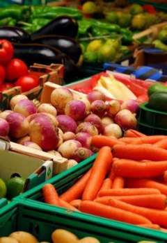 الصادرات الزراعية