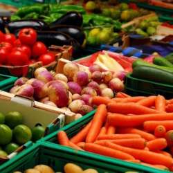 الصادرات الزراعية