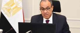 وزير الخارجية المصري