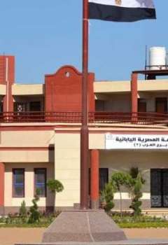 المدارس المصرية اليابانية