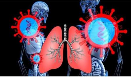 علماء إنجليز يطورون نموذجا مصغرا للرئة البشرية لفهم الأمراض وعلاجها