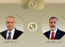 وزير الخارجية المصري ونظيره التركي