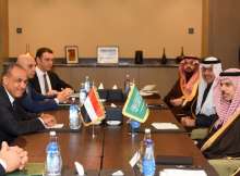 وزير الخارجية المصري ونظيره السعودي