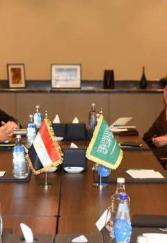 وزير الخارجية المصري ونظيره السعودي