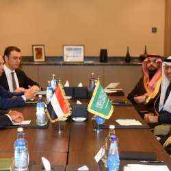 وزير الخارجية المصري ونظيره السعودي