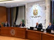 مجلس الوزراء المصري