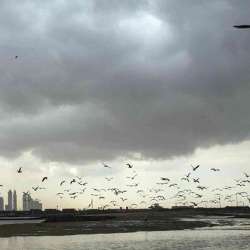 طقس الإمارات