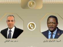 وزير الخارجية المصري ونظيره البوركيني