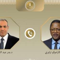 وزير الخارجية المصري ونظيره البوركيني