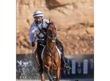 التقاط الأوتاد بالوثبة